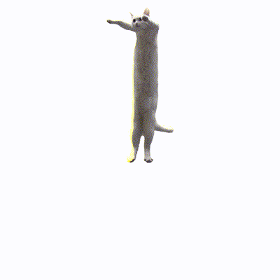 回る猫のGIF画像