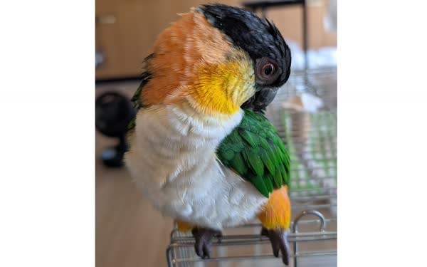 ぐぐ